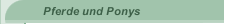 Pferde und Ponys