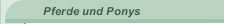 Pferde und Ponys